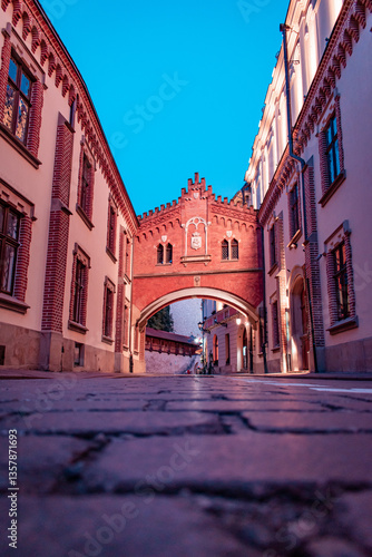 A street in the old town. An empty, cozy, and clean street lined with cafes and restaurants beautifully decorated with flowers and lighting.