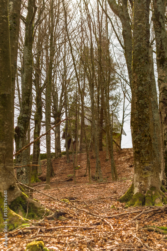 Obraz premium Chiesetta degli alpini su Monte Pizzo in appennino