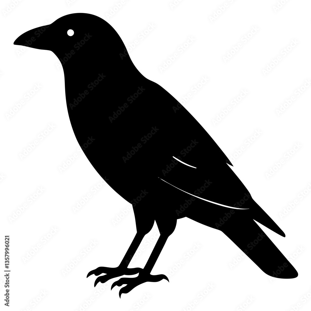 Fototapeta premium raven bird black silhouette vector, Simple silhouette Design vector icon with white background. Wild bird