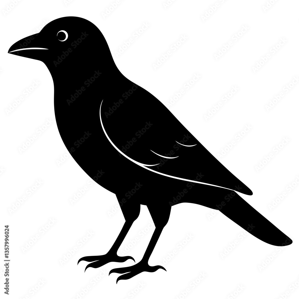 Fototapeta premium raven bird black silhouette vector, Simple silhouette Design vector icon with white background. Wild bird