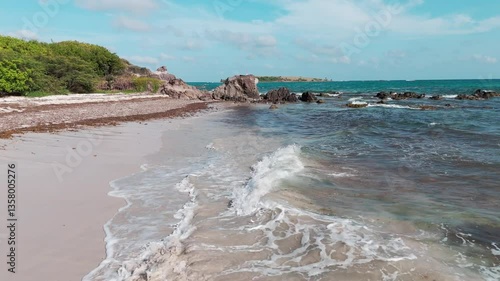 Vagues sur une plage sauvage avec des algues sargasses