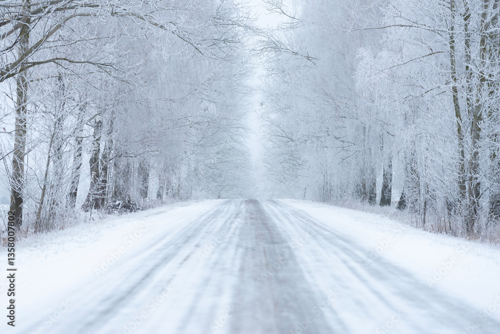 Fototapeta premium a frozen road in winter