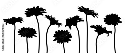 Set of decorative gerbera outline, bouquet for birthday decoration. Flower silhouette for banner, pattern. Isolated summer, spring flat Vector black element on white background EPS10