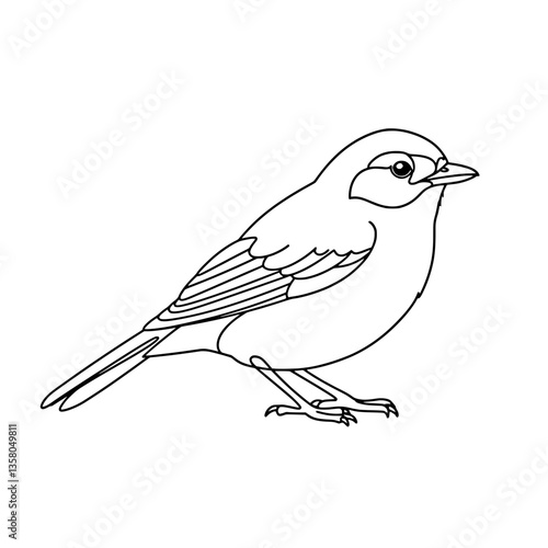 Tropical Myna Bird Line Art Vector | Black and White Coloring Page