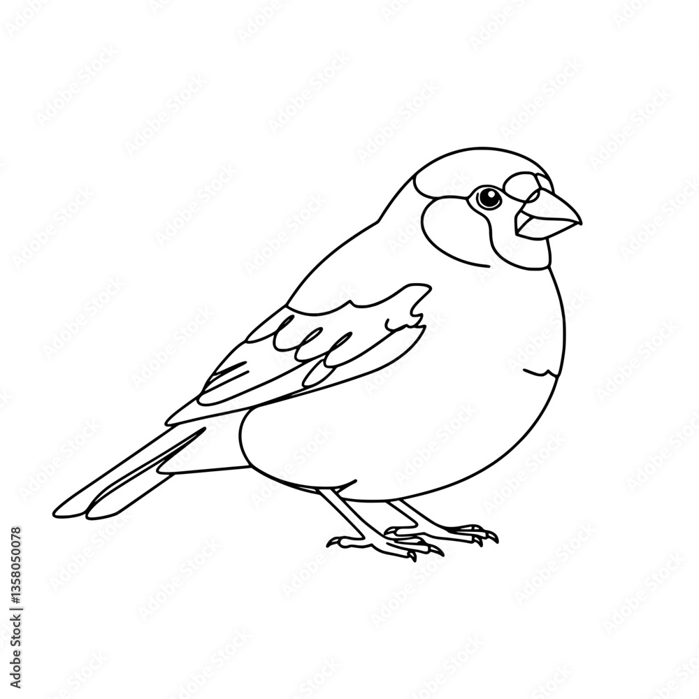 Obraz premium Elegant Finch Bird Line Art Vector for Coloring Pages
