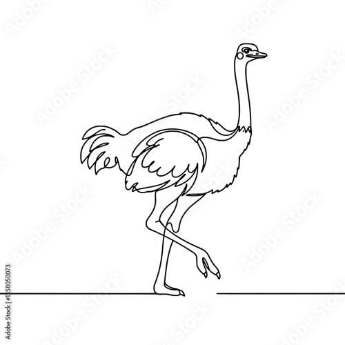 Cute Emu Line Art | Black and White Vector Coloring Page