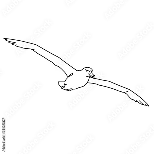 Cute Penguin Line Art Vector | Black and White Coloring Page Design