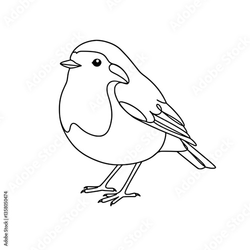 Cute Robin Bird Line Art Vector | Black and White Coloring Page