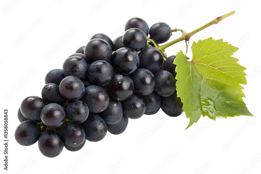 bunch of black grapes on transparent background bunch of black grapes on transparent background