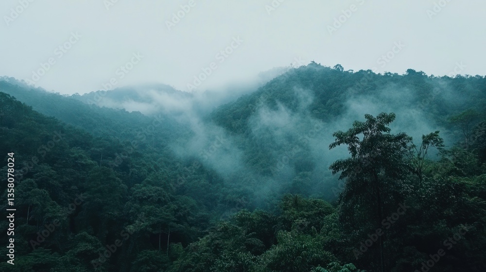 Misty Mountains Enveloped in Lush Green Forest Misty Mountains Enveloped in Lush Green Forest