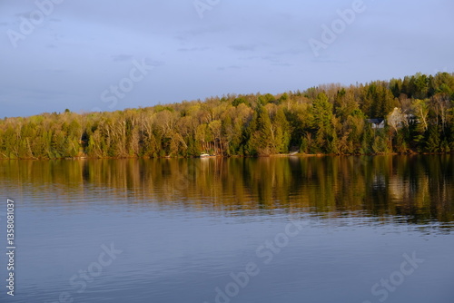 Lake with a view on the forest