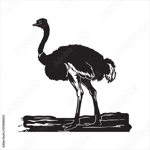 ostrich bird silhouette
