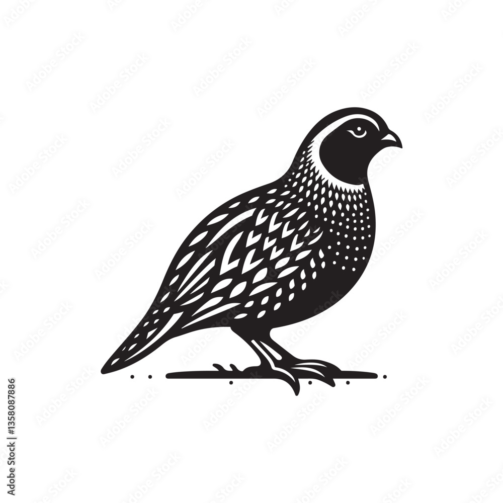 Obraz premium Black Color Quail Silhouette Vector Illustration, Solid White Background