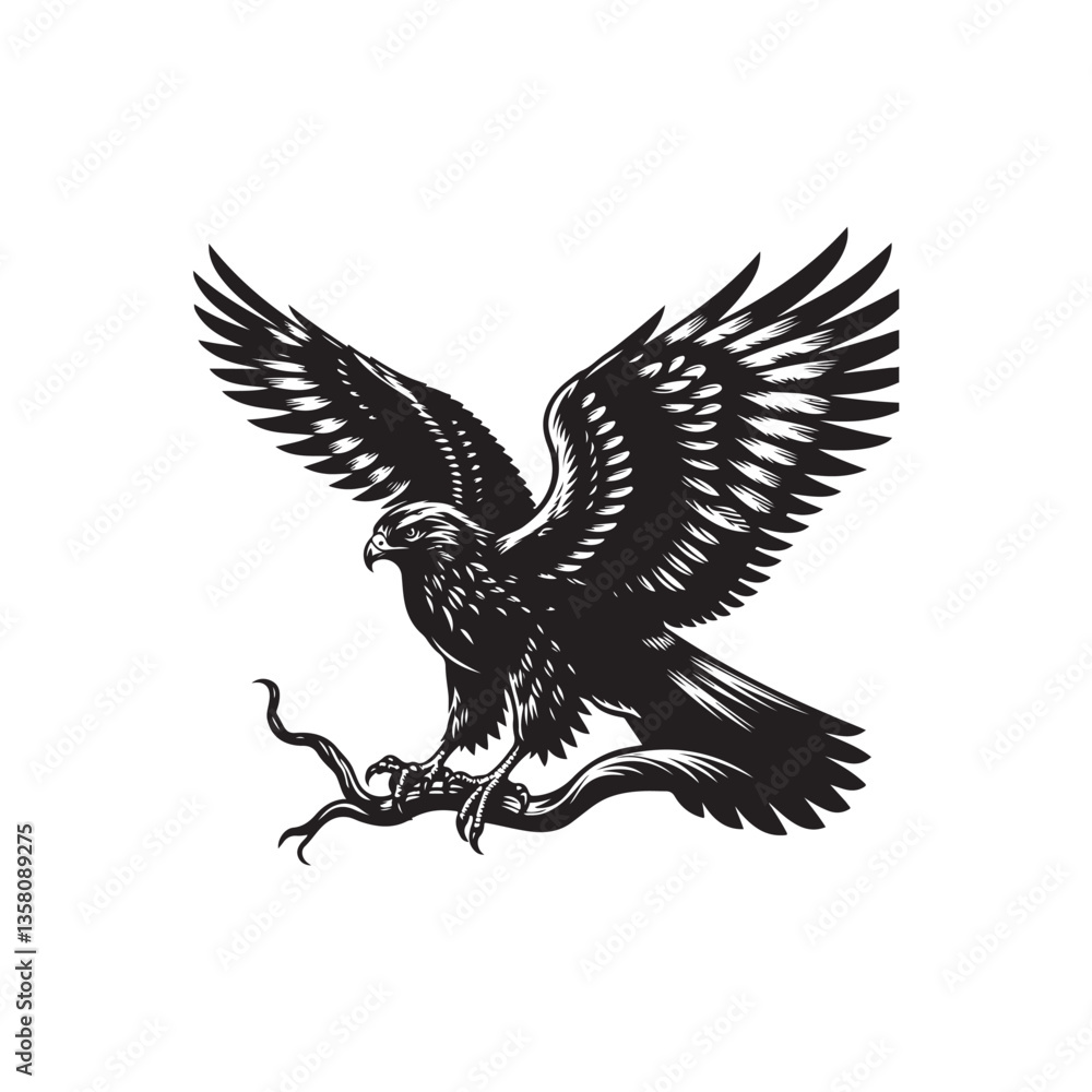 Obraz premium Black Color Red-tailed Hawk Silhouette Vector Illustration, Solid White Background