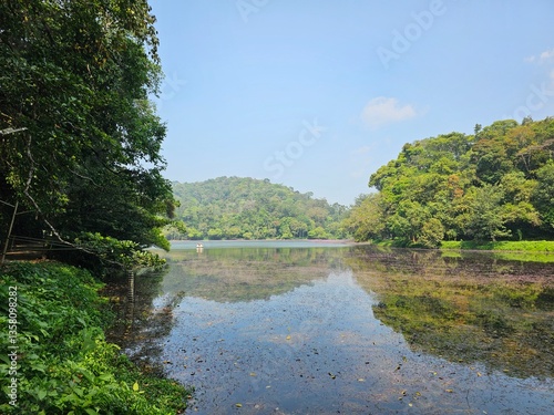 Beautiful view of Pookode lake in Wayanad, Kerala, India.