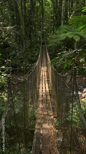 Pont suspendu de Cœur Bouliki au dessus de la Rivière Blanche en Martinique.