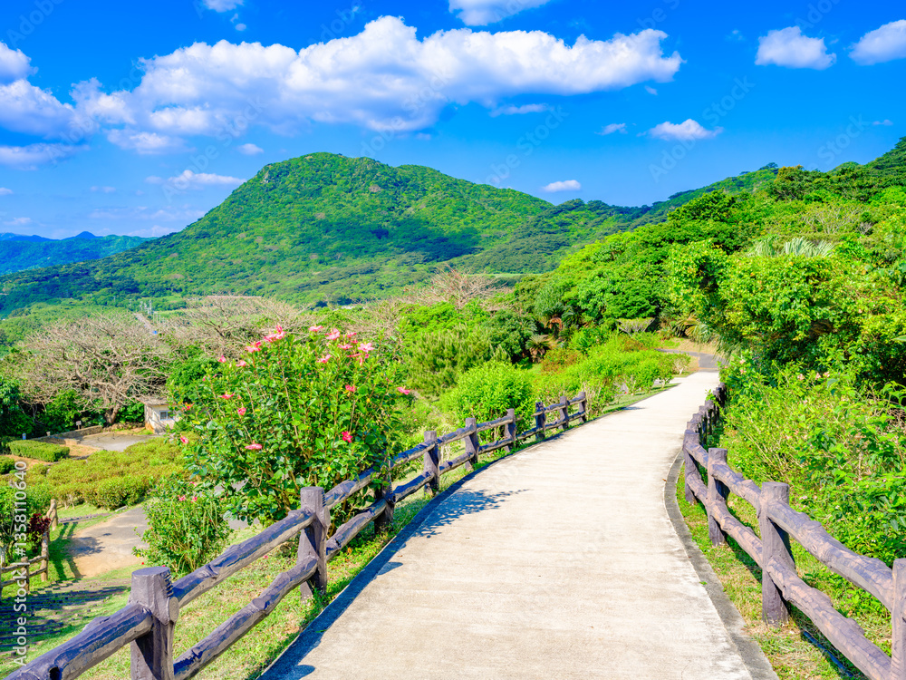 南国の風景画 風景：「美しい南国の海」からすぐ保存できるアイデアが 670 件