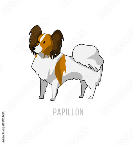 Papillon Illustration