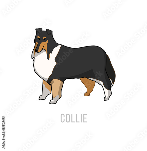 Cartoon Collie Illustration