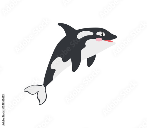 Vector illustration of a black and white killer whale (orca) swimming.