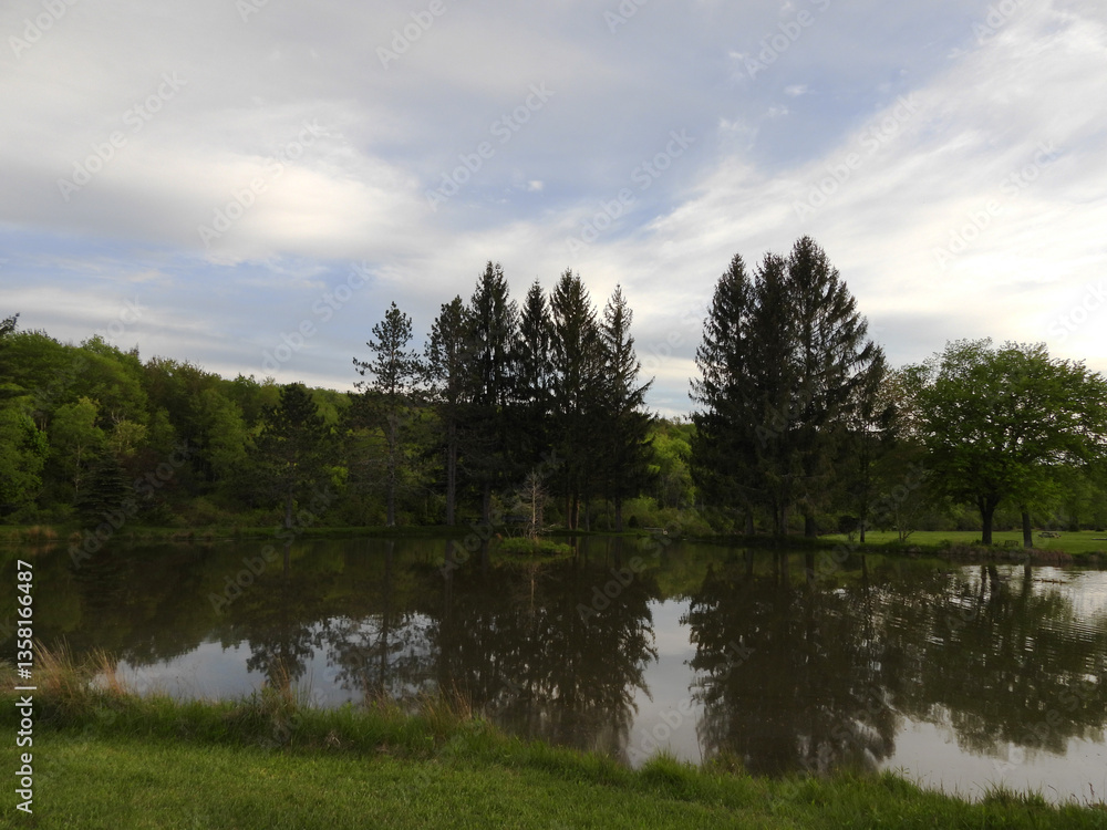 Fototapeta premium The natural beauty of the pond within the Davis Riverfront Park, Tucker County, West Virginia.