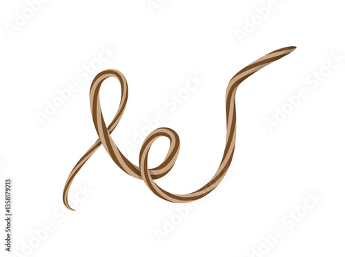Artistically Tied Shoelace