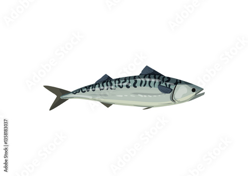 Vector illustration of a striped mackerel fish.