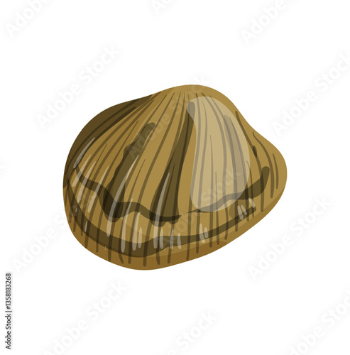Vector illustration of a brown and tan striped clam.