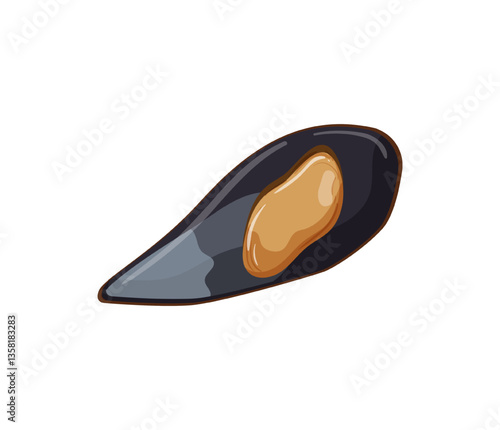 Vector illustration of a black mussel shell with an orange interior.
