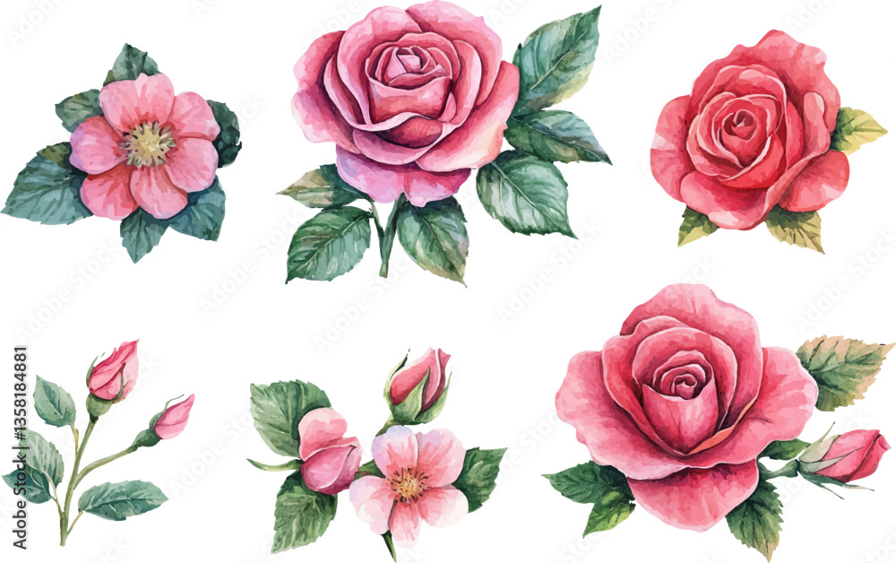 Naklejka premium Watercolor pink rose floral watercolor 