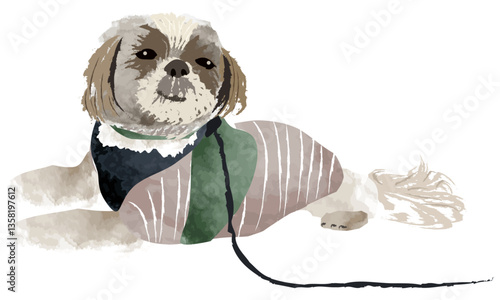 水彩でラフに描いた犬（シーズー）のイラスト