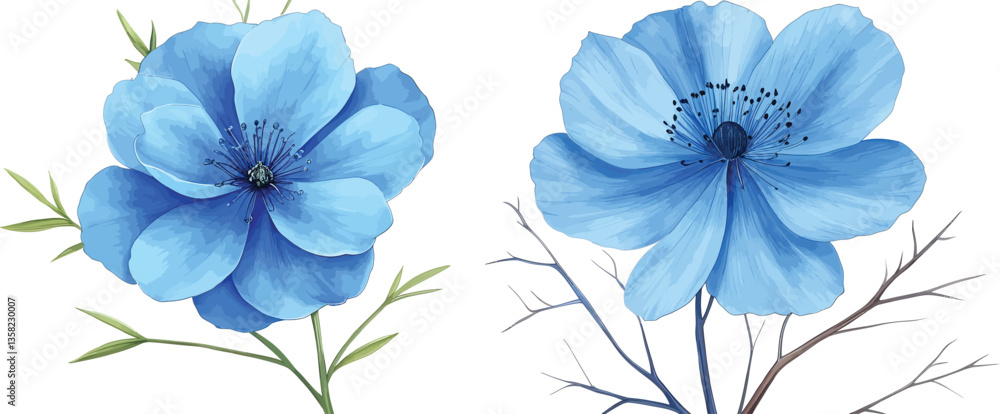 Fototapeta premium Blue iris flower isolated on white with vibrant petals and natural beauty