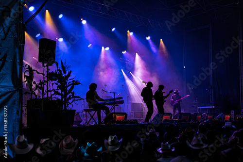 Country Music Concert Performance with Band and Colorful Stage Lighting