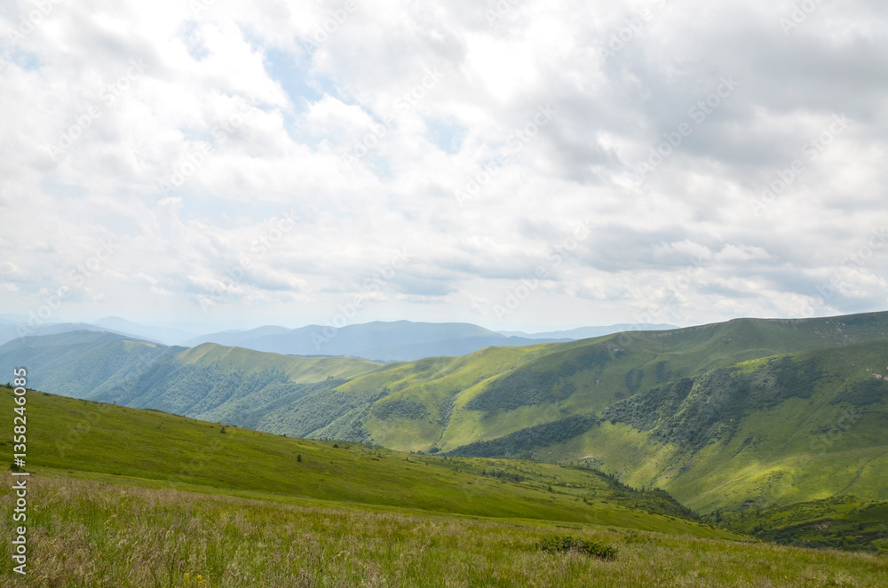 Tranquil landscape featuring rolling grassy mountains with soft clouds casting shadows across the terrain, revealing the peaceful beauty of nature. Carpathians, Ukraine Tranquil landscape featuring rolling grassy mountains with soft clouds casting shadows across the terrain, revealing the peaceful beauty of nature. Carpathians, Ukraine