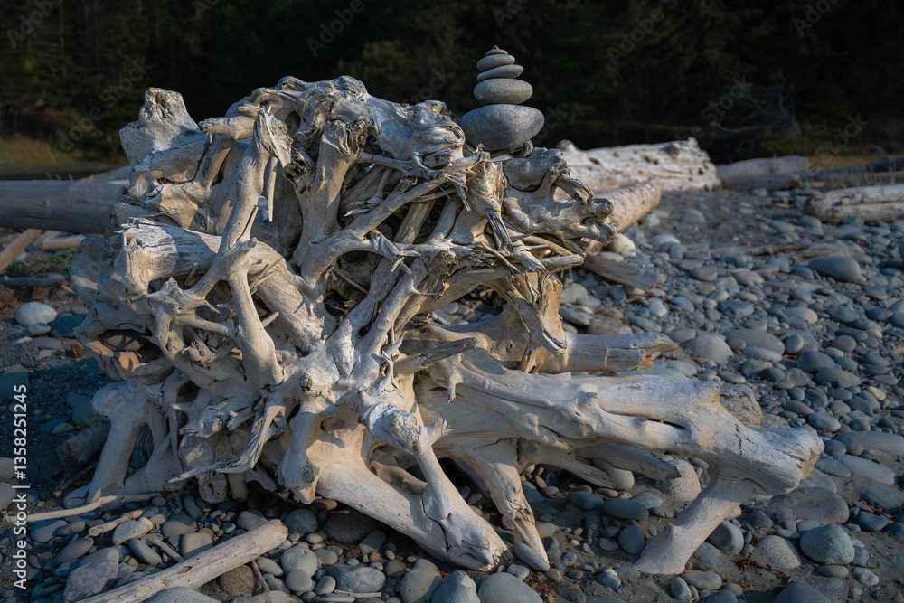 Dungeness National Wildlife Refuge, Olympic Peninsula, WA