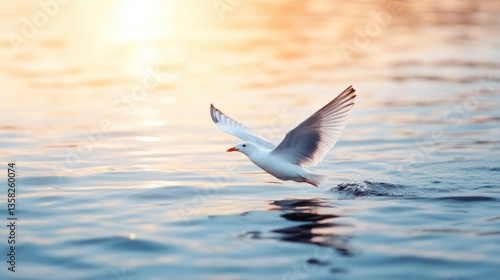 Seagull soaring over tranquil water at sunrise