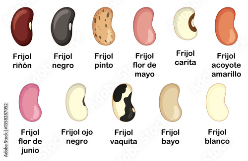 Tipos de frijol