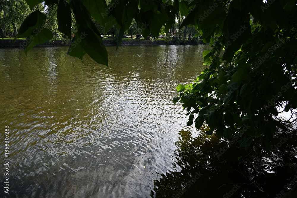 Naklejka premium bench in the park near the lake
