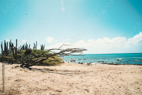 Aruba