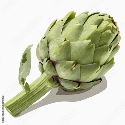 artichoke,