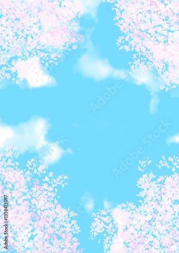 見上げた桜と青空