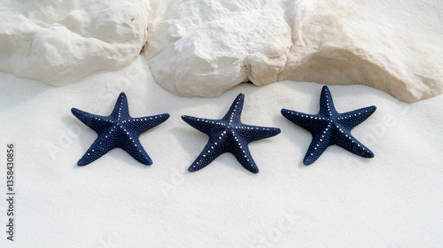 Starfish resting on sandy beach near white rocks during bright sunny day