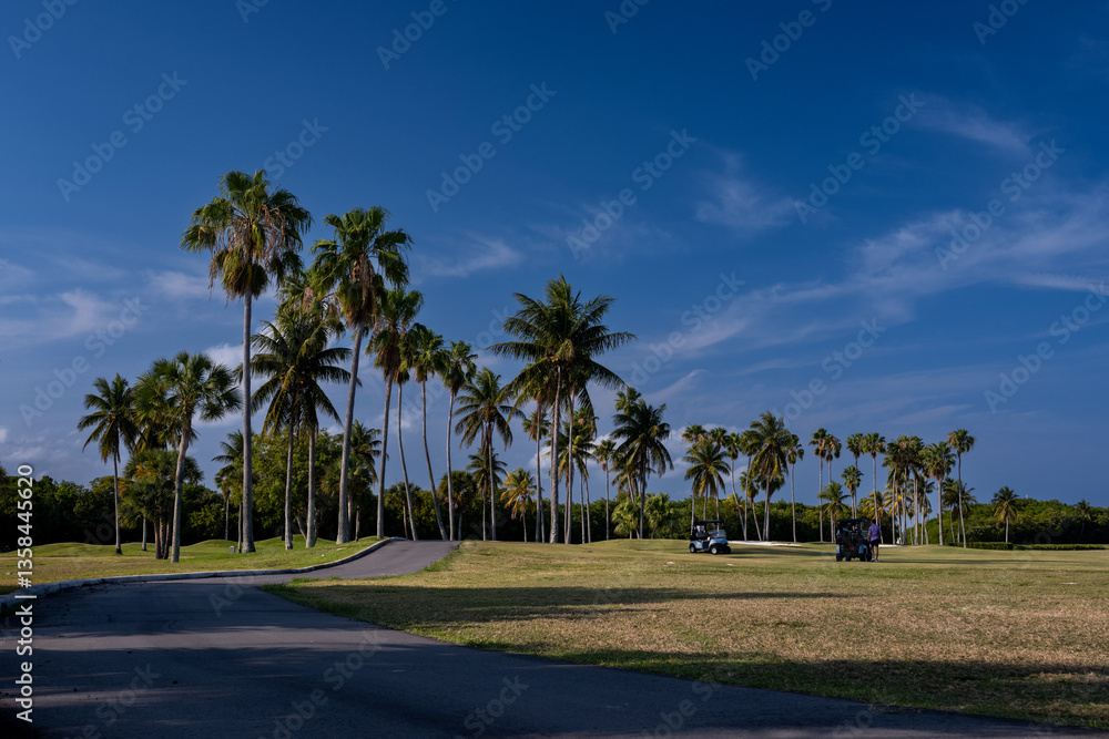 Fototapeta premium golf course with palm trees