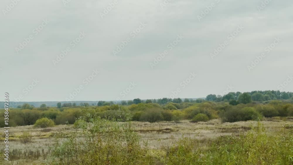 View of a field from a car window on a cloudy day View of a field from a car window on a cloudy day