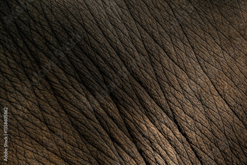 The background pattern of the elephant skin is dark black. The pattern on the elephant skin with the skin and hair of the elephant is sharp and detailed.	