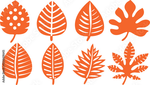Autumn Leaves Vector Set - Fall Foliage Illustrations