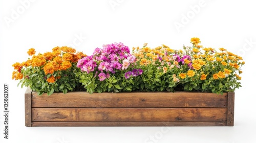 Wooden Planter Boxes Filled with Colorful Flowers