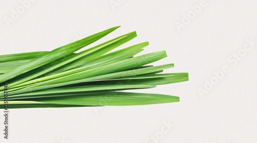 Fresh Green Grass Blades on Textured Neutral Background