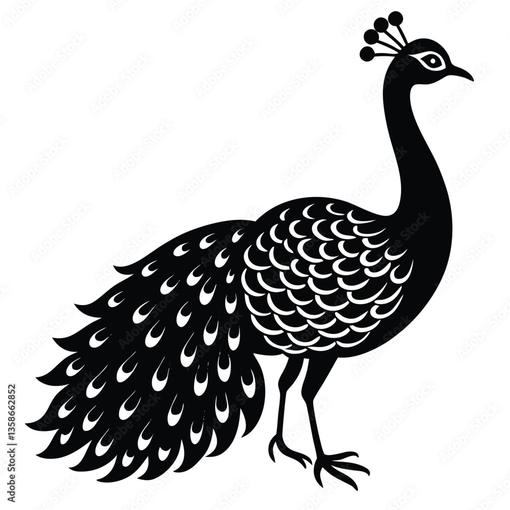 Fototapeta premium Adobe IllustrPeacock Vector Shilhouette Bundle Set Collectionator Artwork