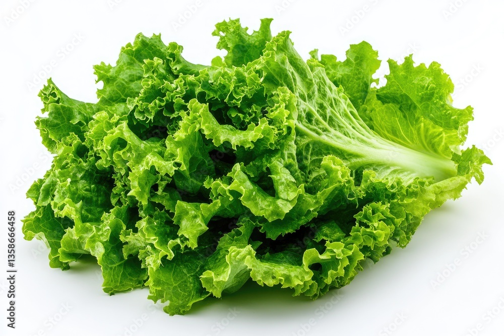 Fresh, vibrant green leafy salad. A close-up view of a bunch of crisp, lush lettuce leaves. The leaves are a deep, healthy green, and appear fresh and moist Fresh, vibrant green leafy salad. A close-up view of a bunch of crisp, lush lettuce leaves. The leaves are a deep, healthy green, and appear fresh and moist